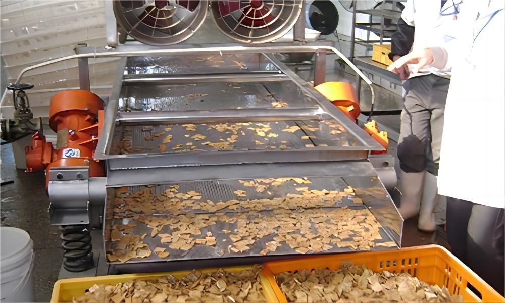 客戶現(xiàn)場-直線篩3.jpg 客戶現(xiàn)場-直線篩3.jpg